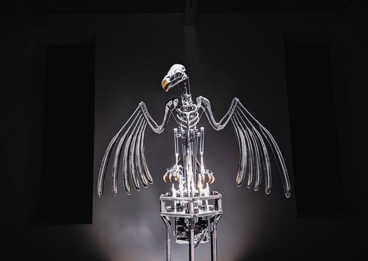  by Mat Collishaw