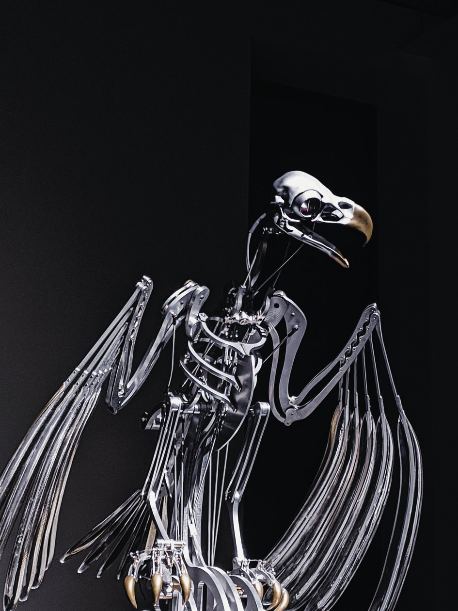  by Mat Collishaw