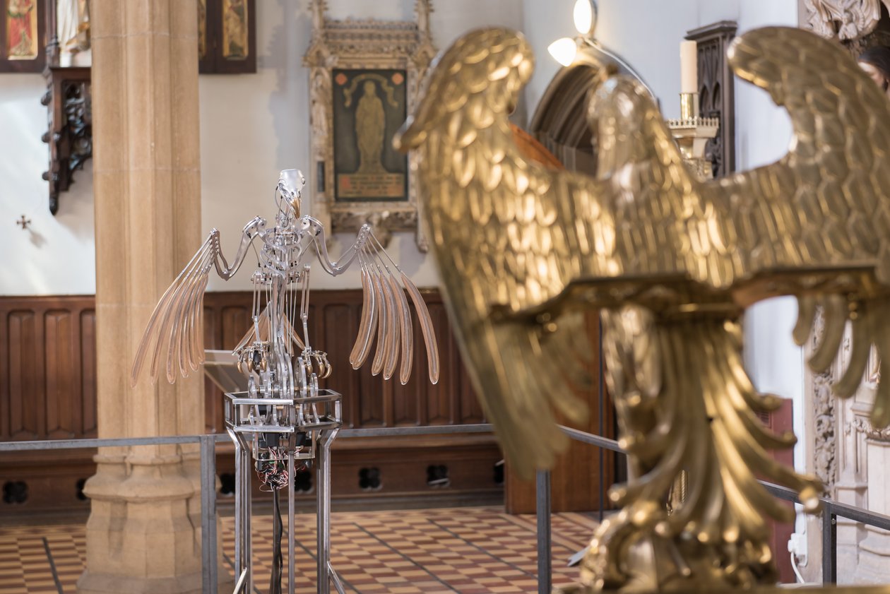  by Mat Collishaw