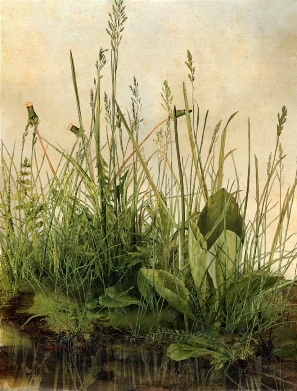 Whispering Weeds, 2011 (Ahşap çerçeve, kenarlık, LCD ekran, fan ve sabit disk) by Mat Collishaw