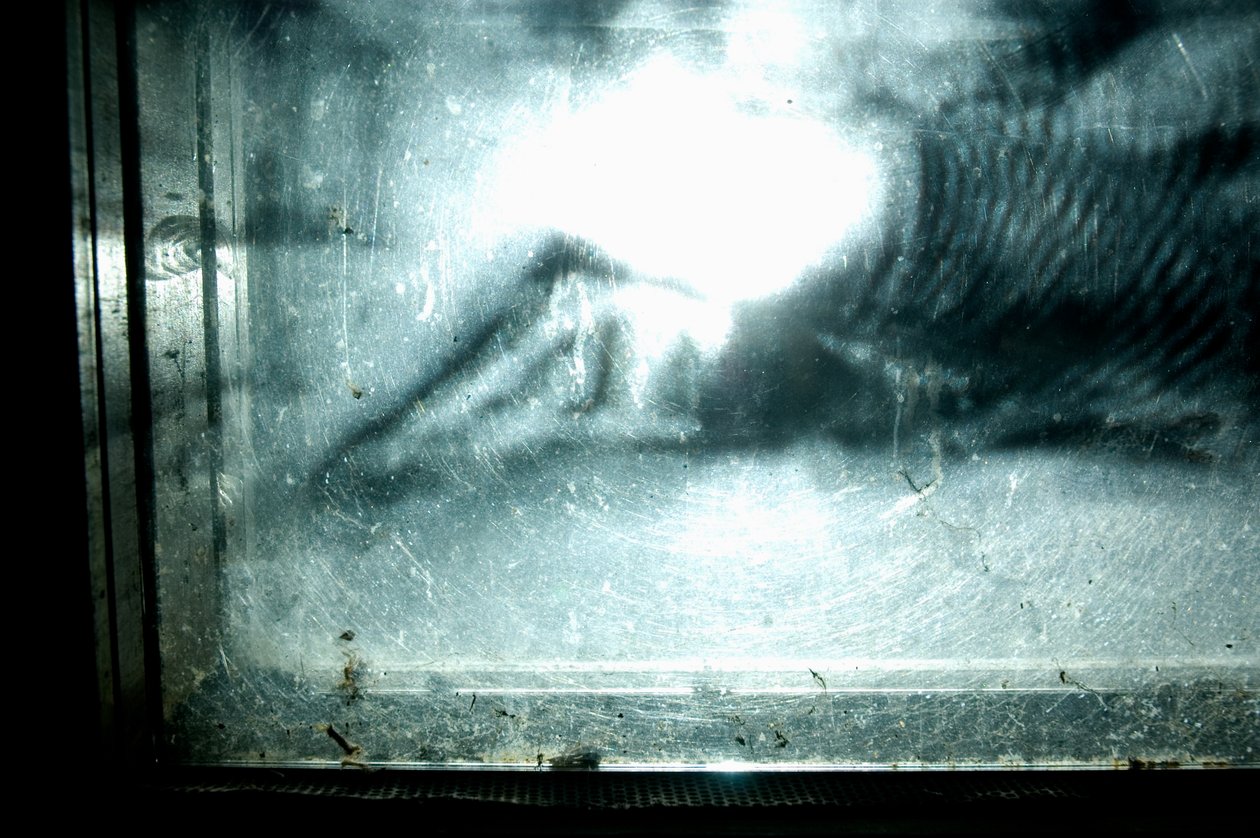  by Mat Collishaw