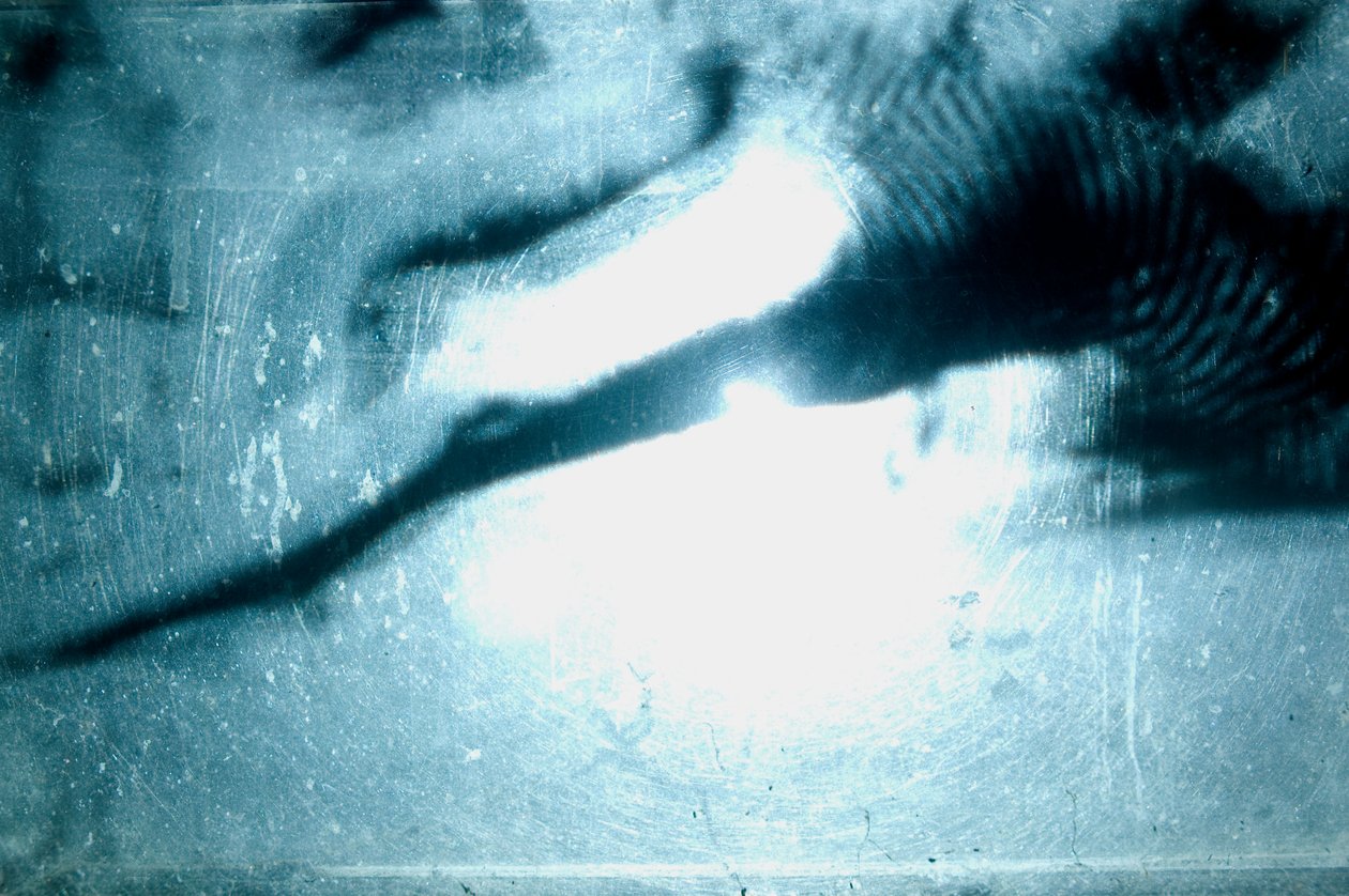  by Mat Collishaw