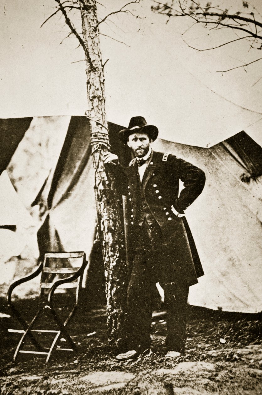 Ağaçtan Genel Hibe, City Point, 1864 by Mathew B. Brady