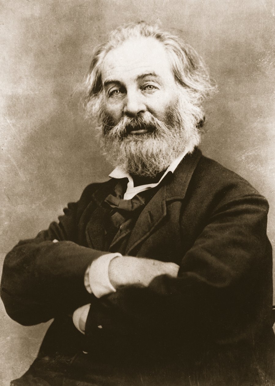 Walt Whitman (fotogravür) by Mathew B. Brady
