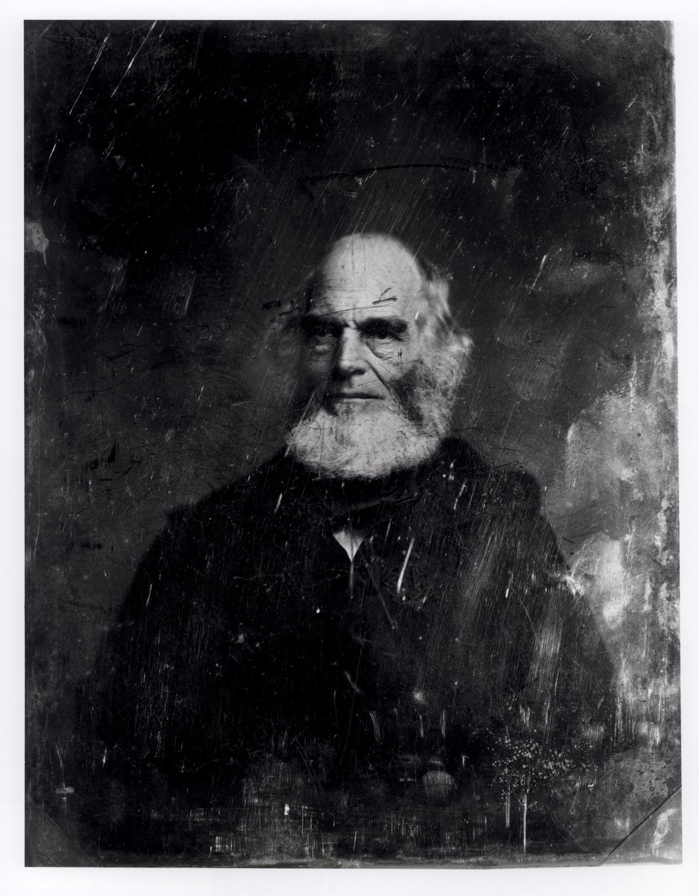 William Cullen Bryant (1794-1878) c.1851-60 (dagerreyotipi) by Mathew B. Brady