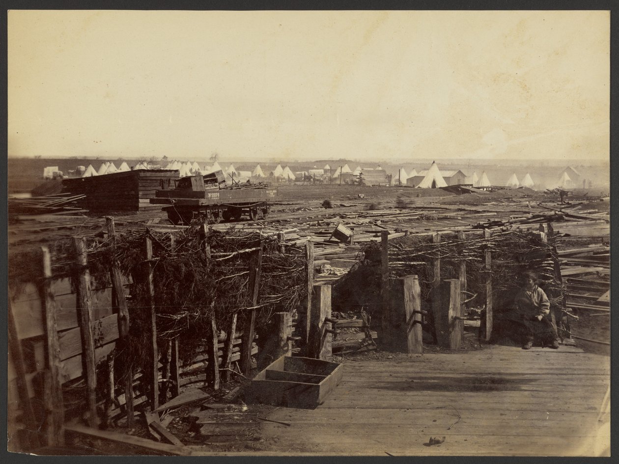  by Mathew B. Brady