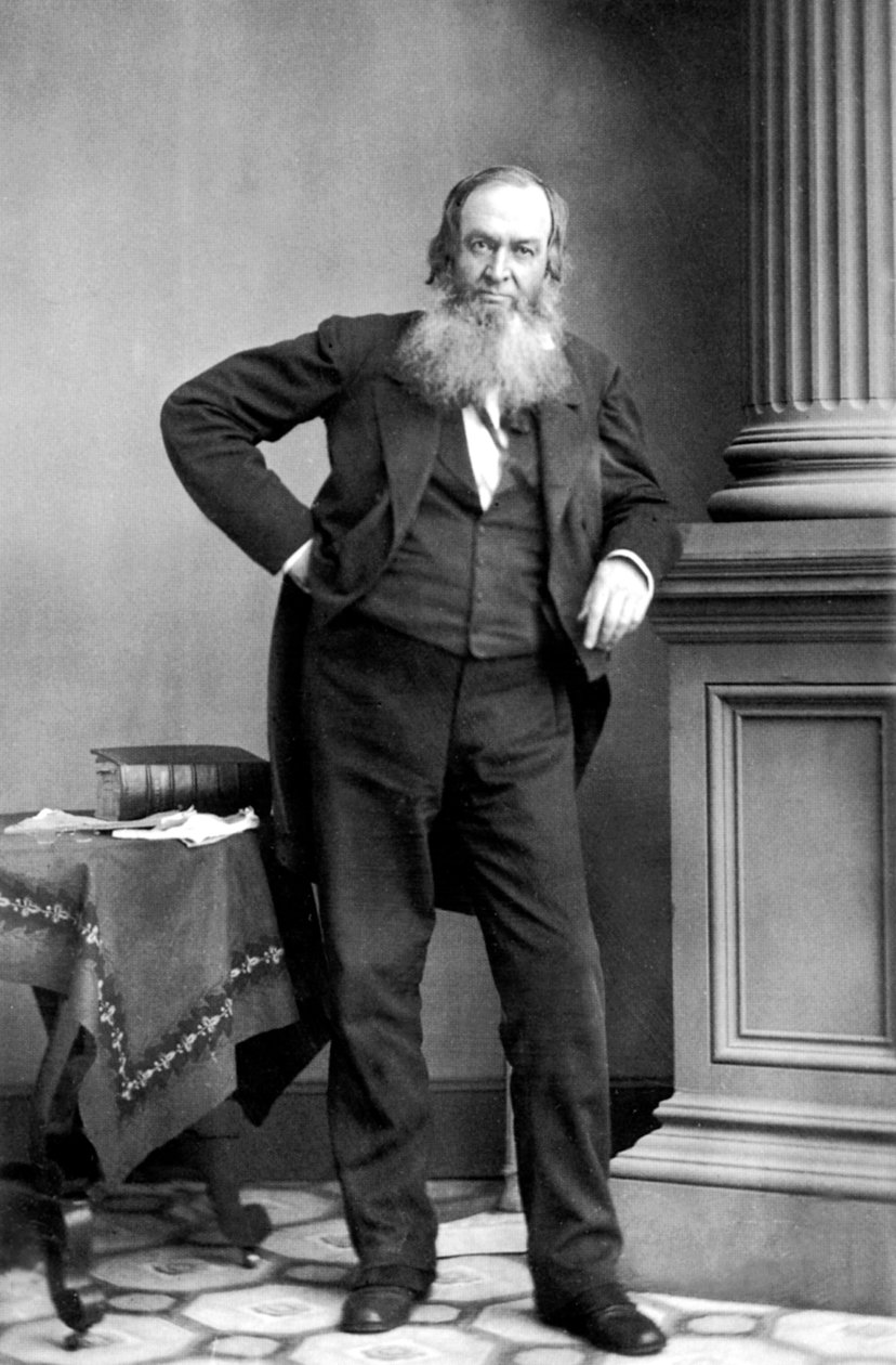 Gerrit Smith: Amerikan Politikacı, New York by Mathew B. Brady