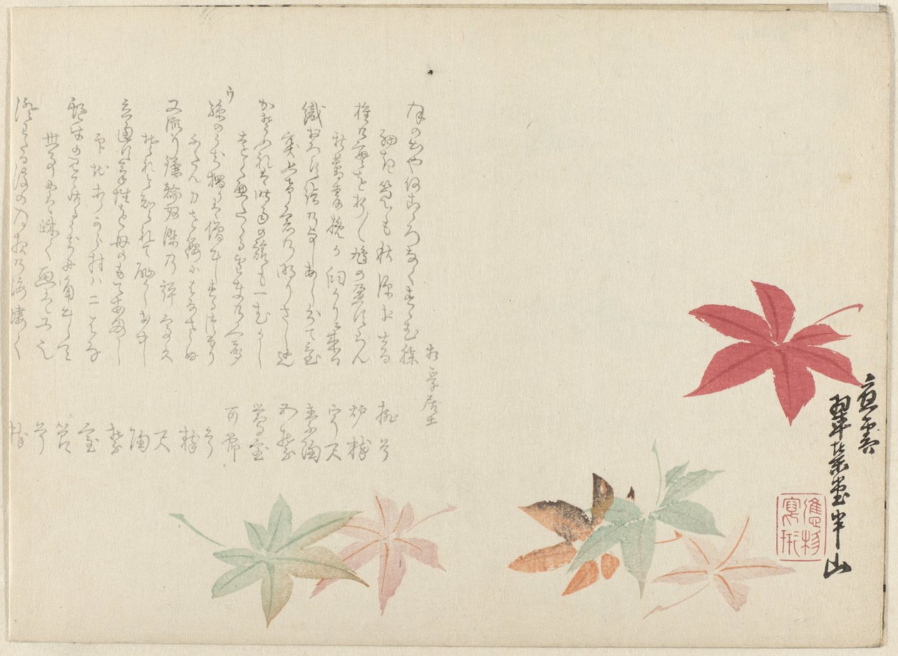 Japon akçaağaç by Matsukawa Hanzan