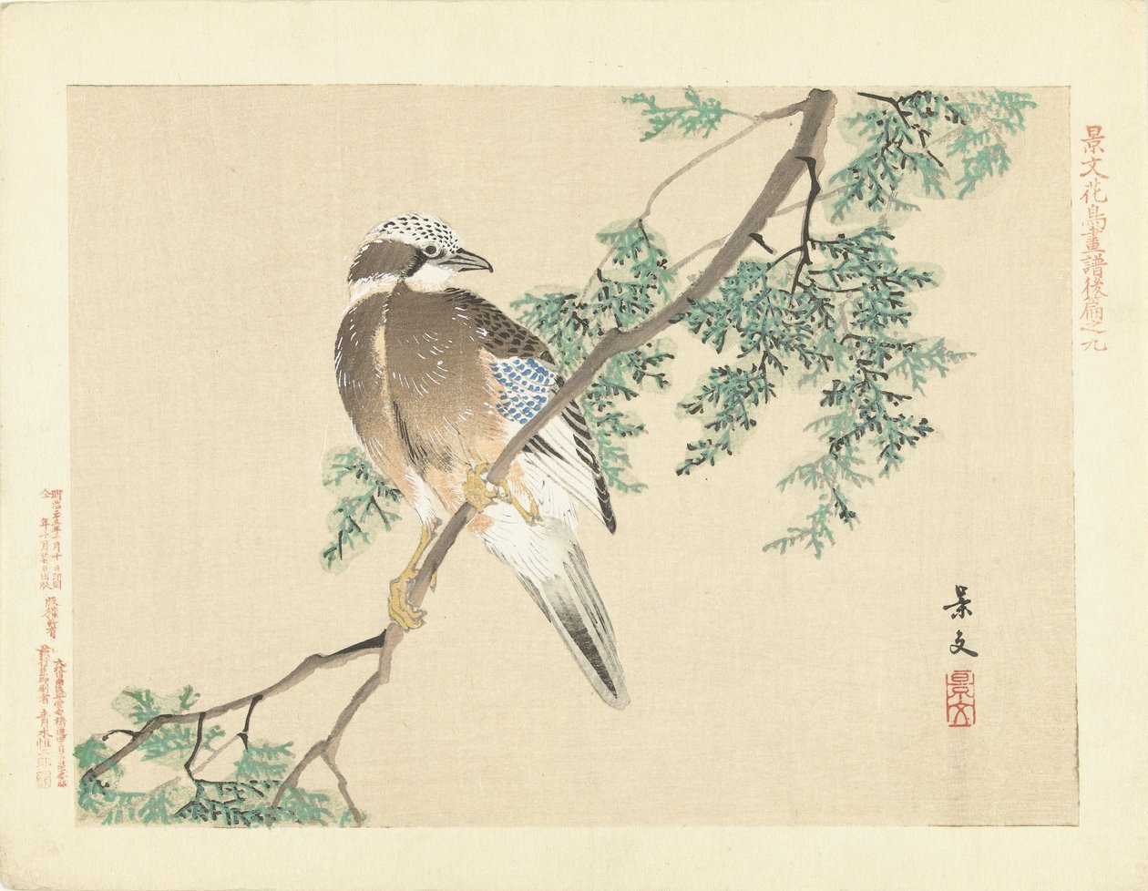 Jay bir dalda by Matsumura Keibun