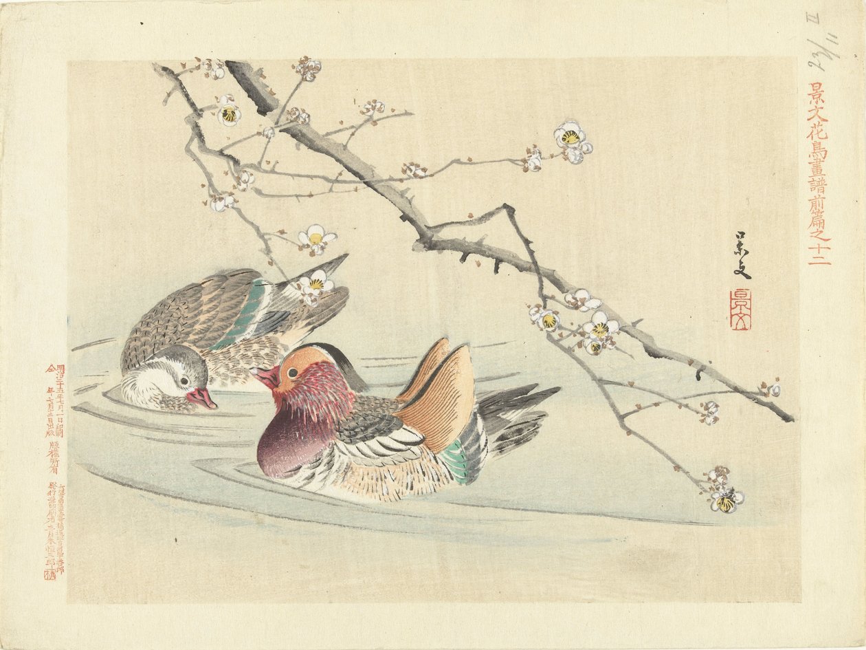 iki ördek Keibun- birinci bölümden Çiçek ve Kuş Eskizleri (seri başlığı) Keibun kacho gafu zen kalemi (nesne üzerinde seri başlığı) by Matsumura Keibun