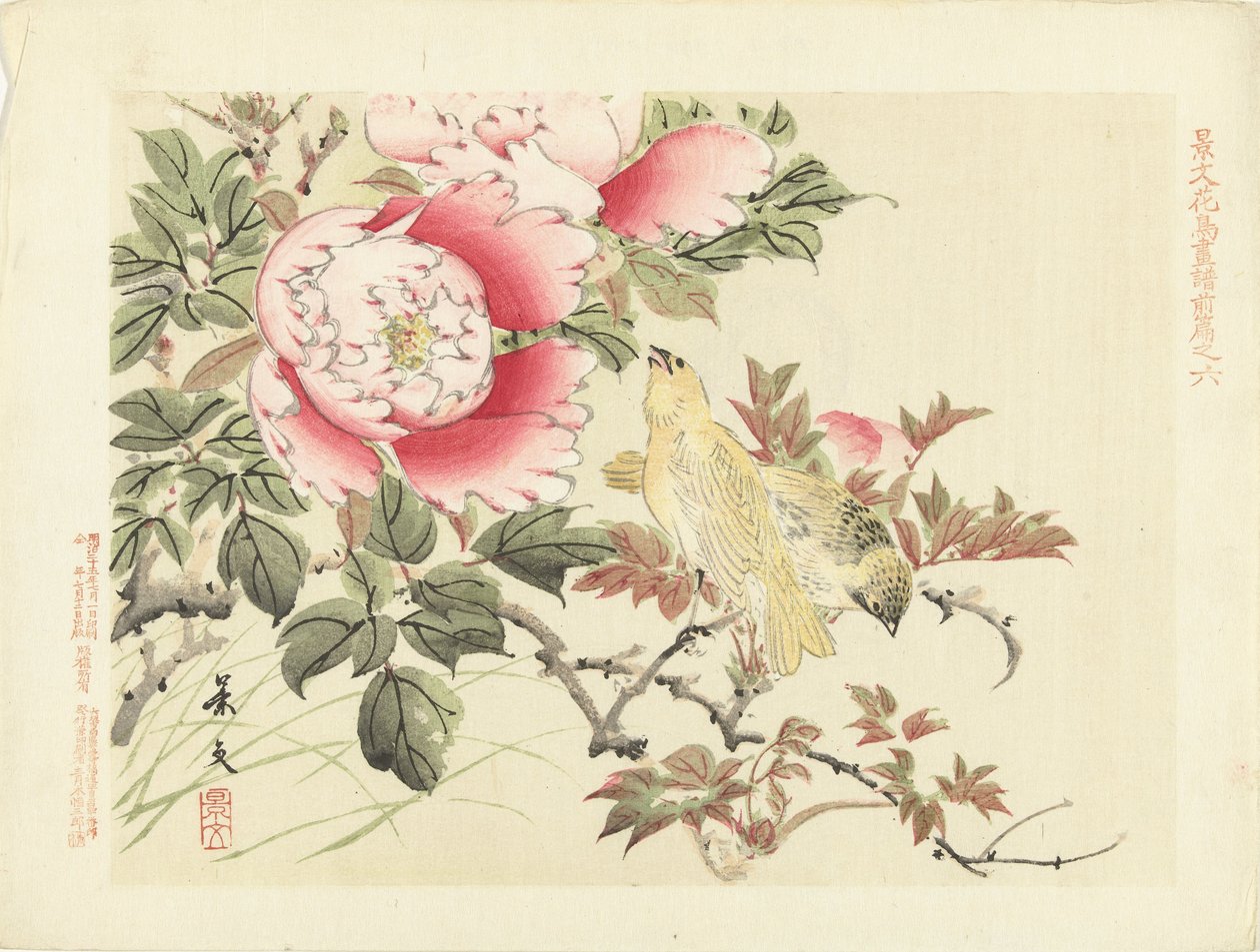 Kuşlar ve şakayık Keibun- birinci bölümden Çiçek ve Kuş Eskizleri (seri başlığı) Keibun kacho gafu zen kalemi (nesne üzerinde seri başlığı) by Matsumura Keibun
