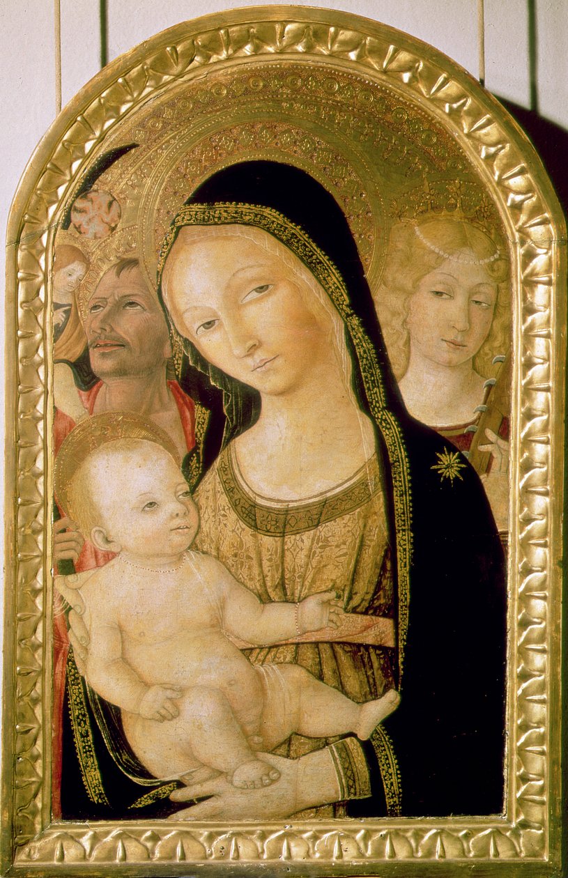Madonna ve SS
