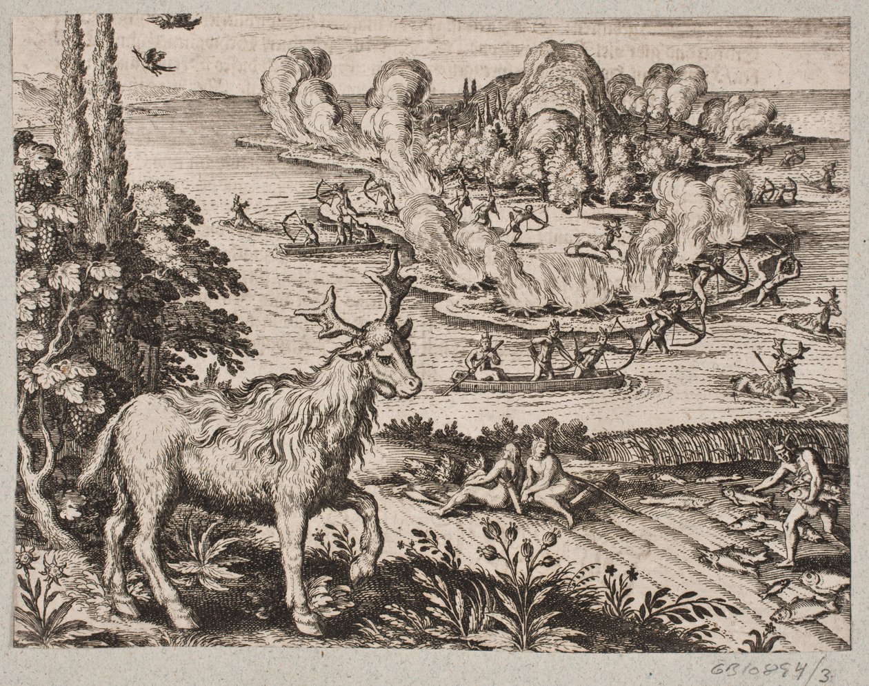 Burada yerlilerin Mosse dediği son derece harika yaratık üzerinde düşünmeden edemiyorum. by Matthäus Merian d.Æ.