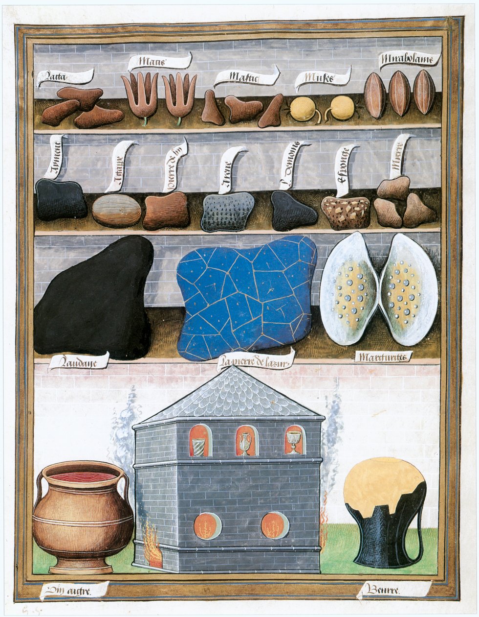  by Matthaeus Platearius