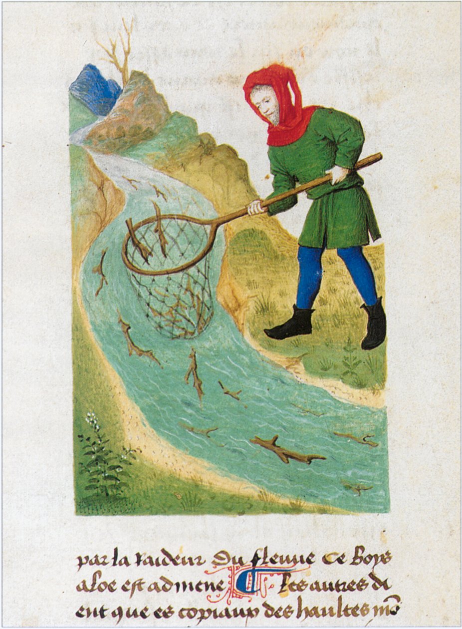  by Matthaeus Platearius