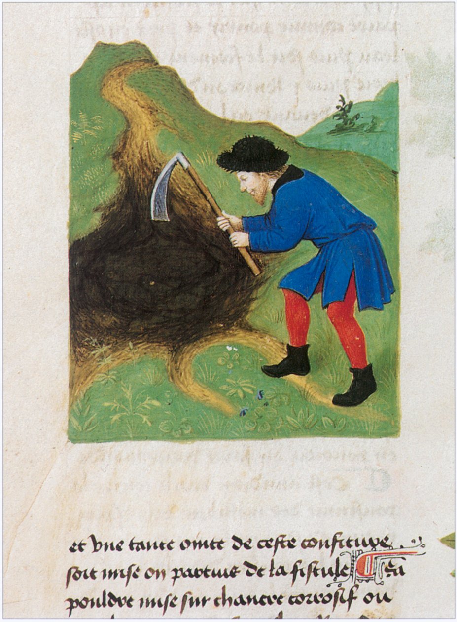  by Matthaeus Platearius