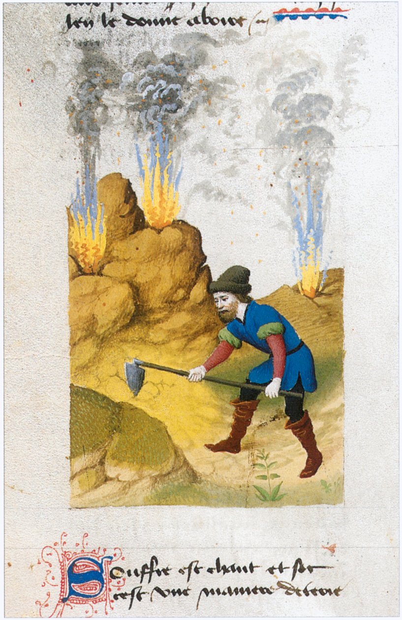  by Matthaeus Platearius