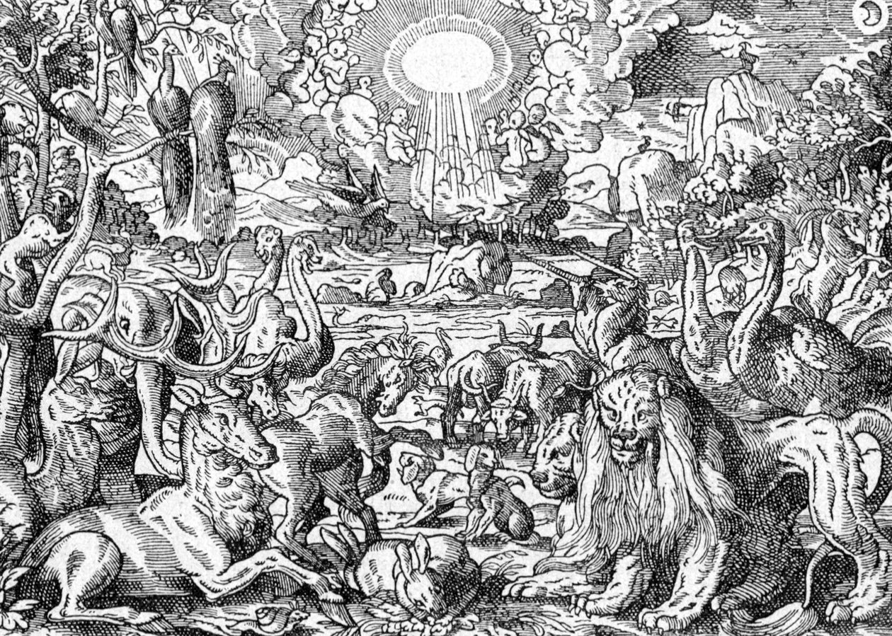  by Matthaus the Elder Merian