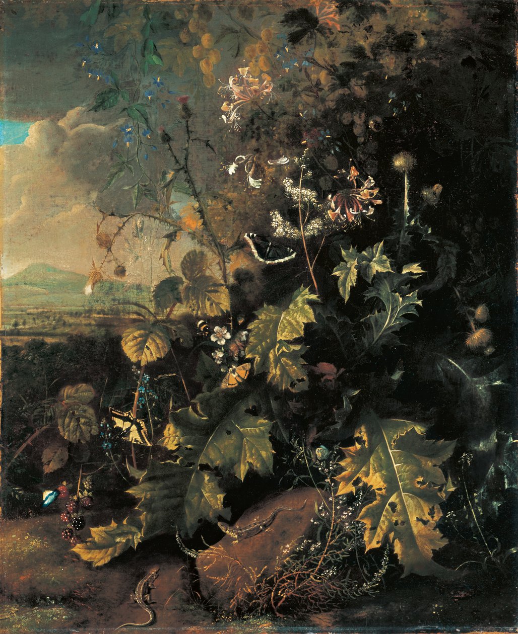 Kelebekler ve kertenkeleler ile orman zemini by Matthias Withoos
