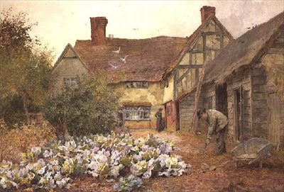 Lahana Yaması Bakımı by Maud Naftel