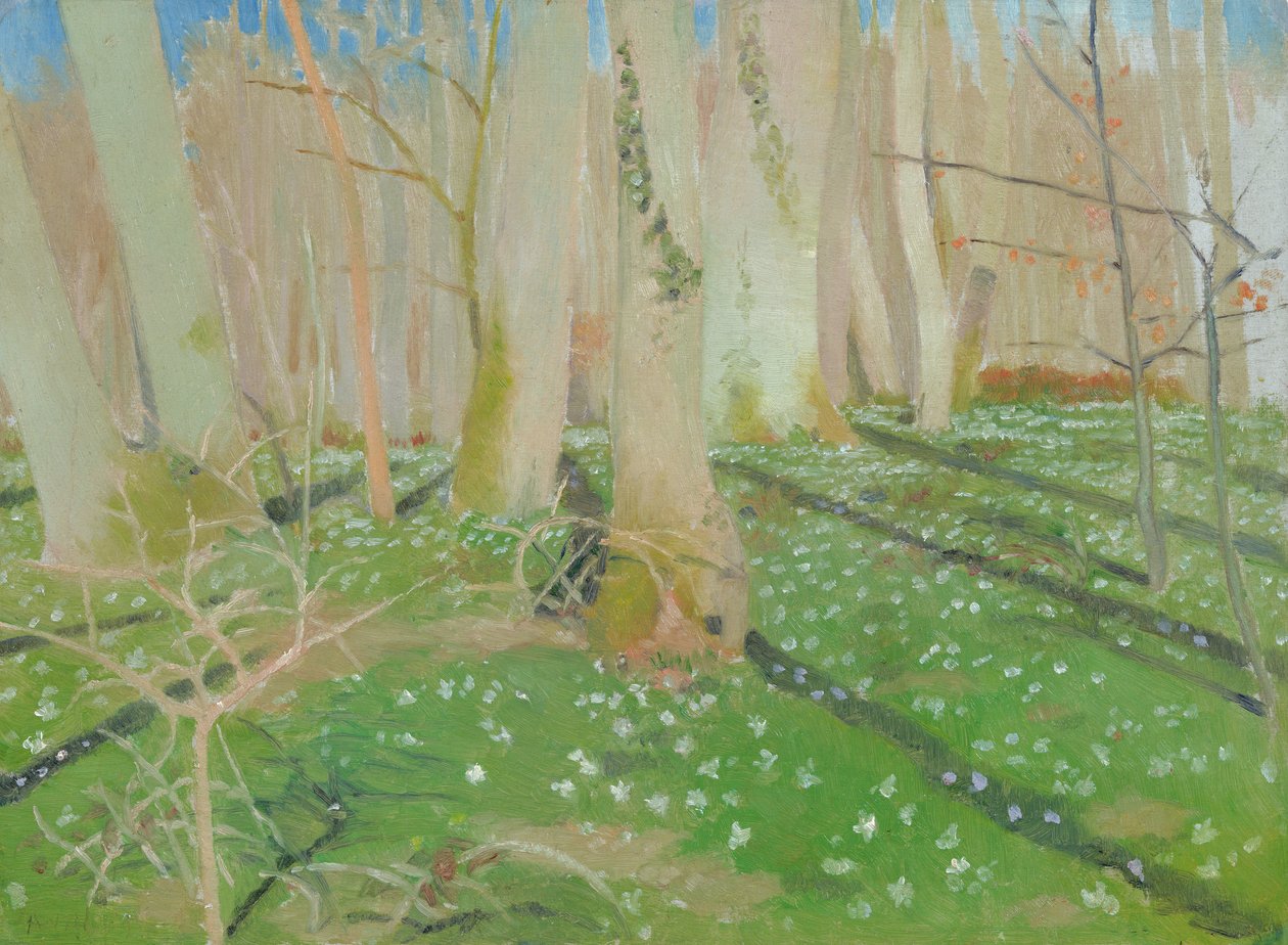 Anemonlu orman, 1889 (karttaki yağ) by Maurice Denis