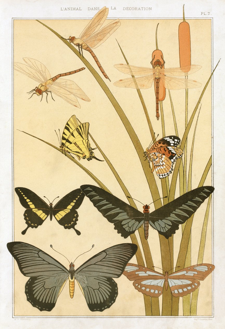 Maurice Pillard Verneuil