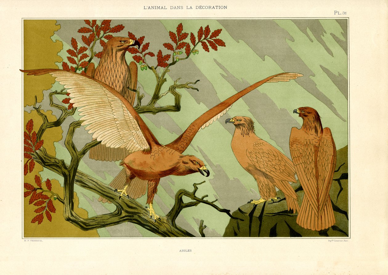 Art Nouveau natüralist tasvirde kartallar (lito) by Maurice Pillard Verneuil