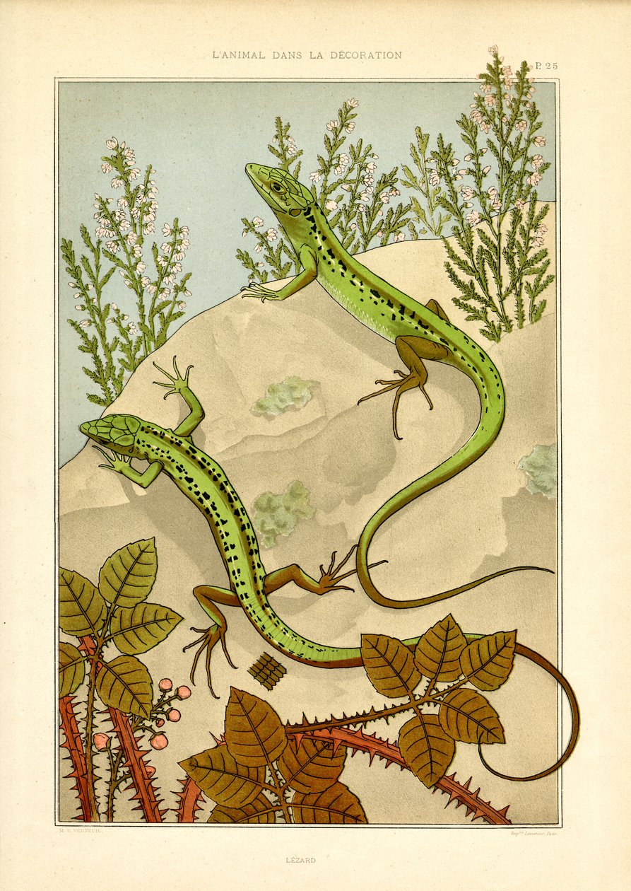 Art Nouveau