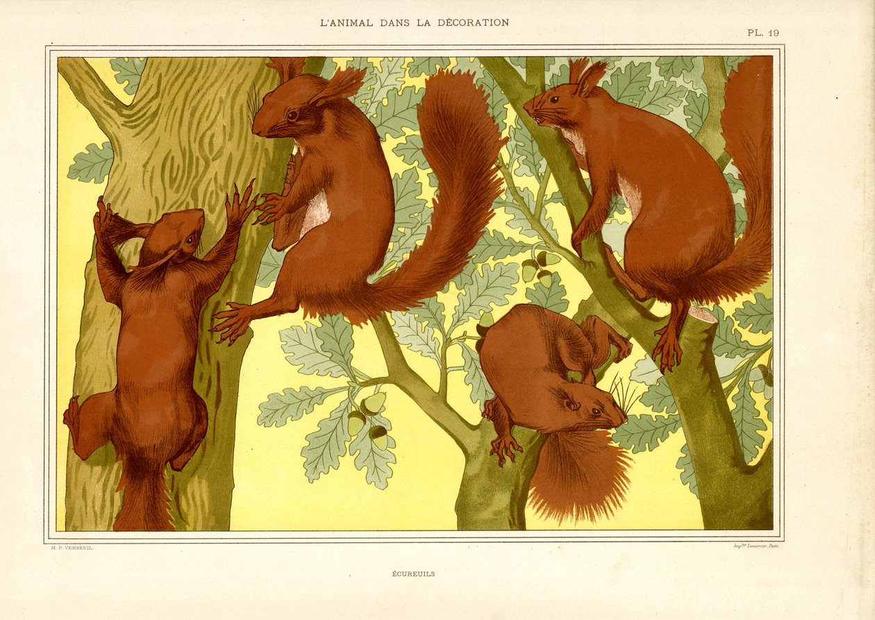 Meşe Ağacındaki Sincaplar (lito) by Maurice Pillard Verneuil