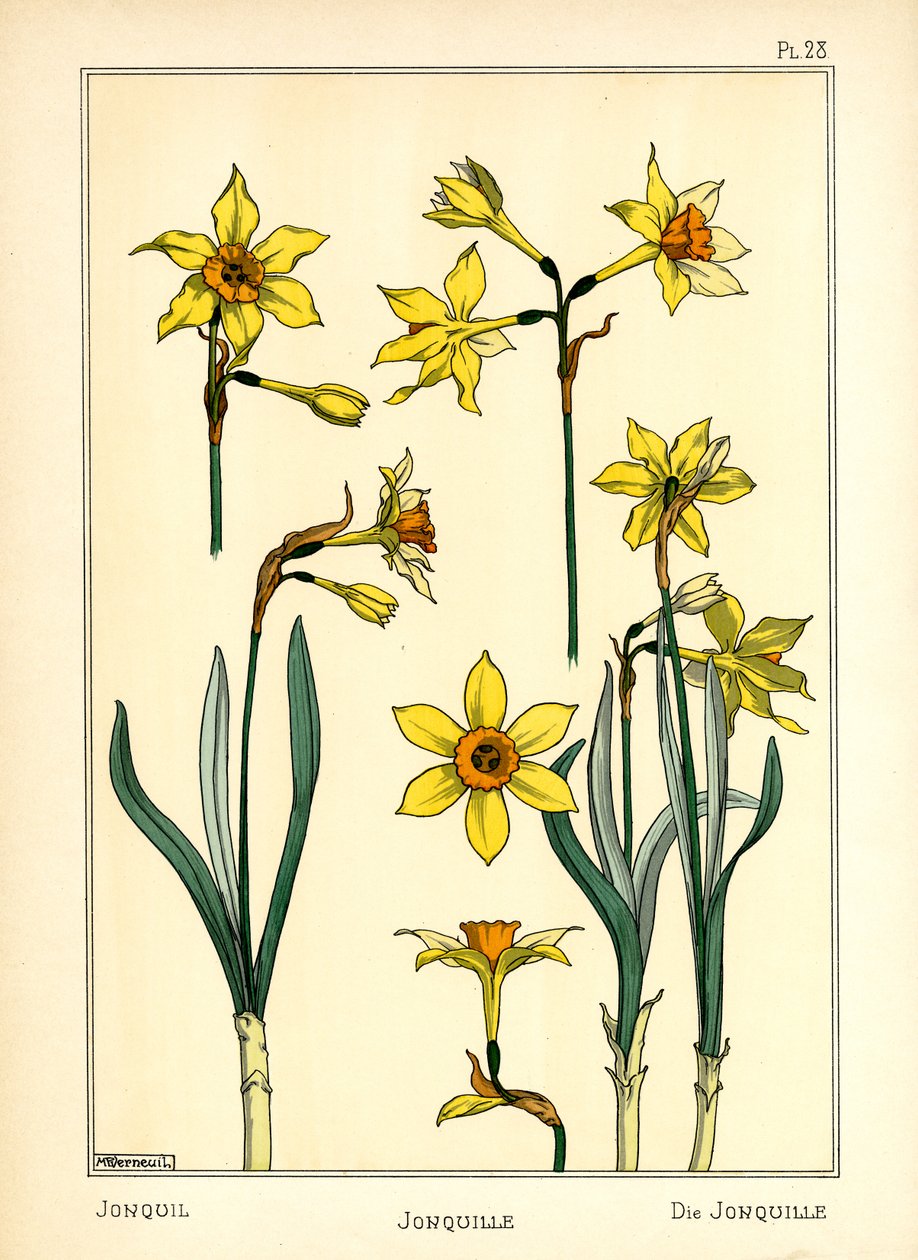 Jonquil (renkli taş) by Maurice Pillard Verneuil