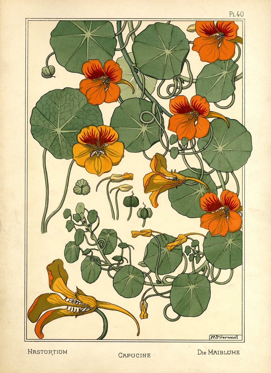 Nasturtium (renkli taş) by Maurice Pillard Verneuil