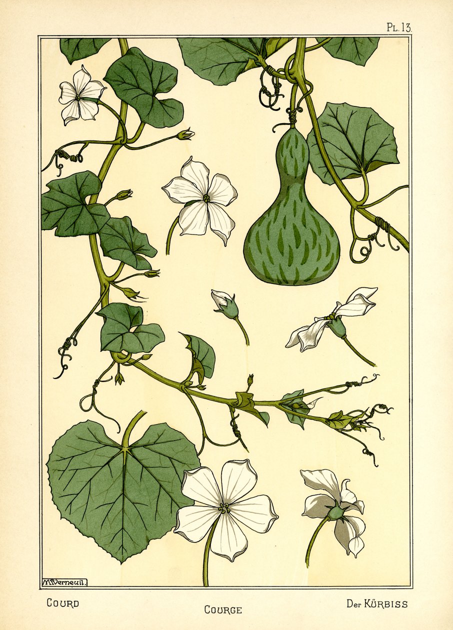 Kabak (renkli taş) by Maurice Pillard Verneuil