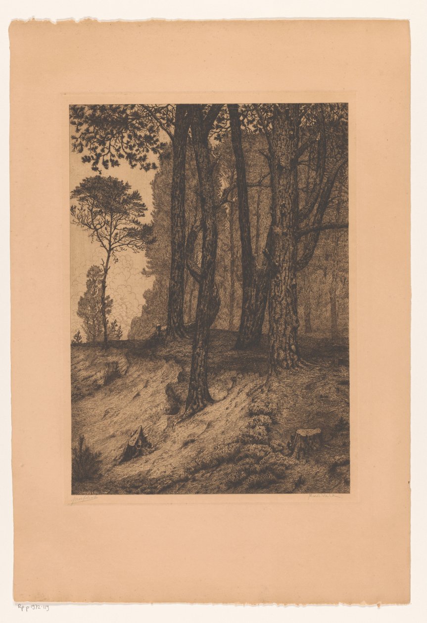 orman kenarı by Maurits van der Valk (signed by artist)