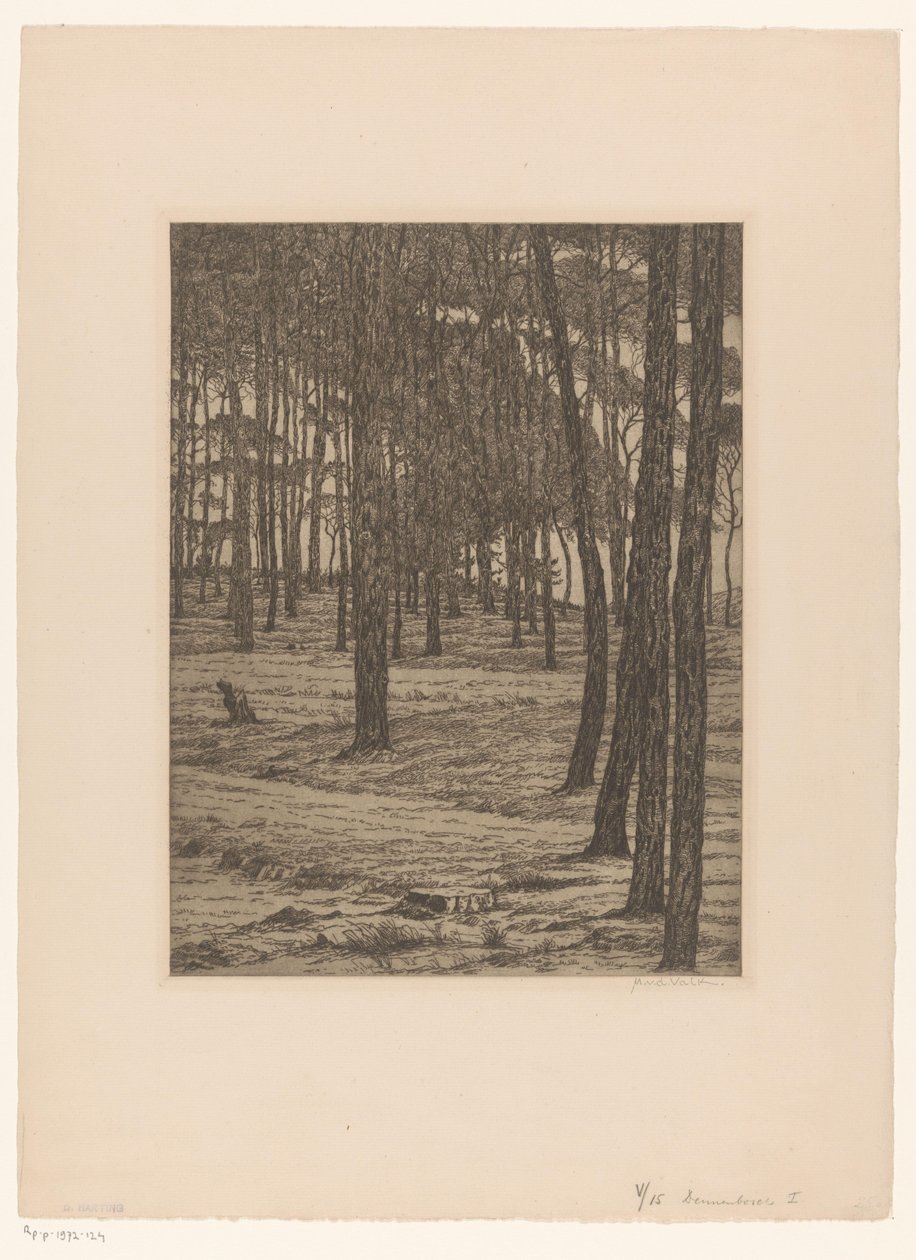 Dennenbosch I (nesne üzerindeki orijinal başlık) Bos (orijinal başlık) by Maurits van der Valk (signed by artist)