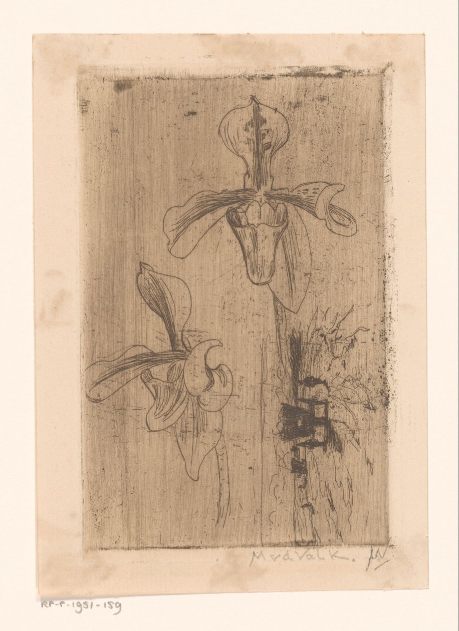 Sahilde iki orkide ve bir araba by Maurits van der Valk (signed by artist)