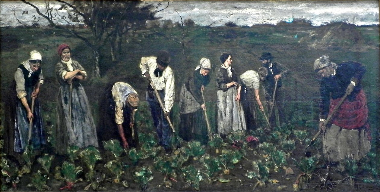 Pancar alanında işçiler by Max Liebermann