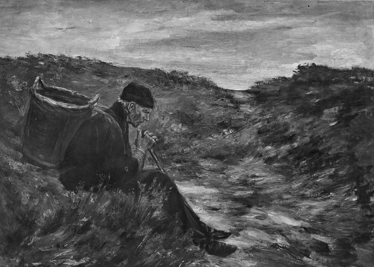 kum tepelerinde by Max Liebermann