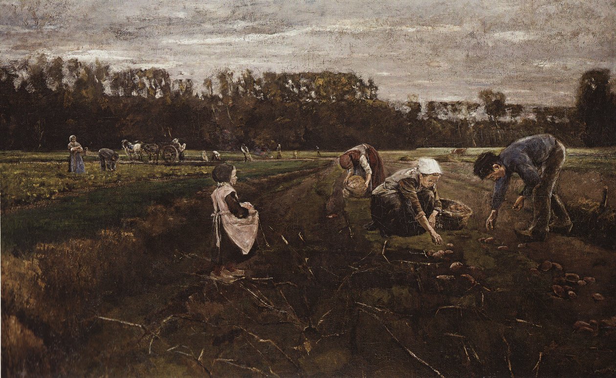Barbizon patates hasadı by Max Liebermann