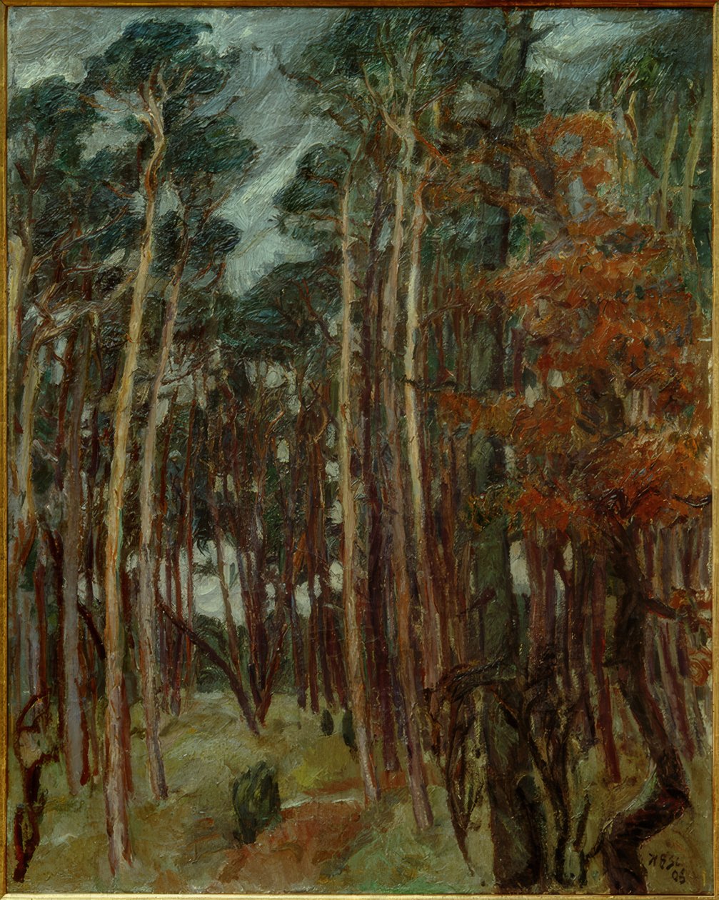 Gri bir günde Hermsdorfer Wald by Max Beckmann