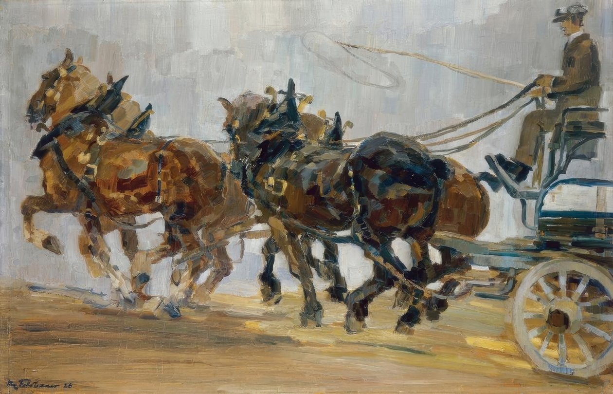 bakire açıklık by Max Feldbauer