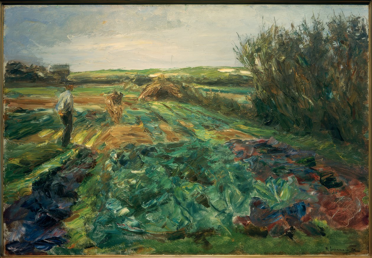 Das Kohlfeld (Noordwijk