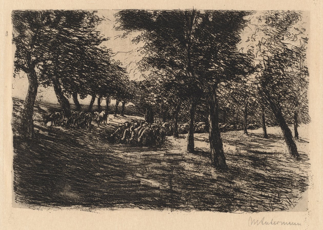 Ağaçların Altında Koyun Sürüsü by Max Liebermann