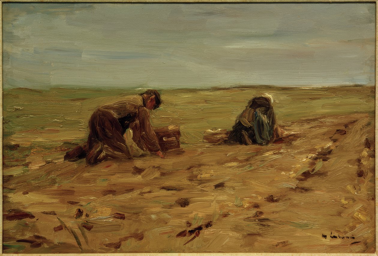 Kum tepelerinde patates hasadı by Max Liebermann