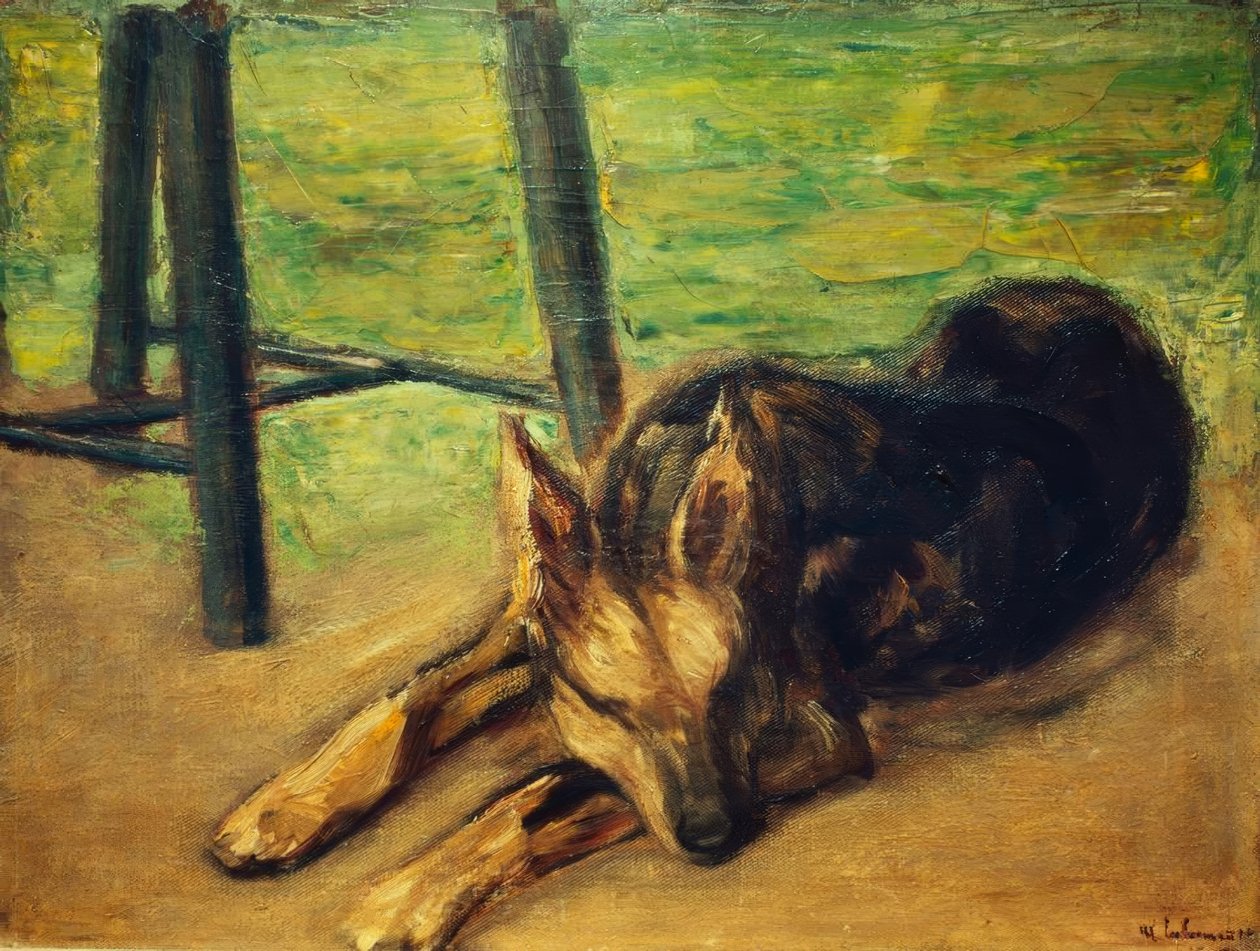 Uyuyan Alman Kurdu by Max Liebermann