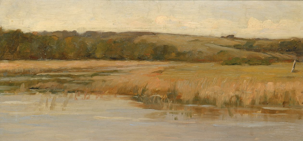 Hill ve Marshland, 19. yüzyılın sonları ve 20. yüzyılın başlarında. by Max Weyl