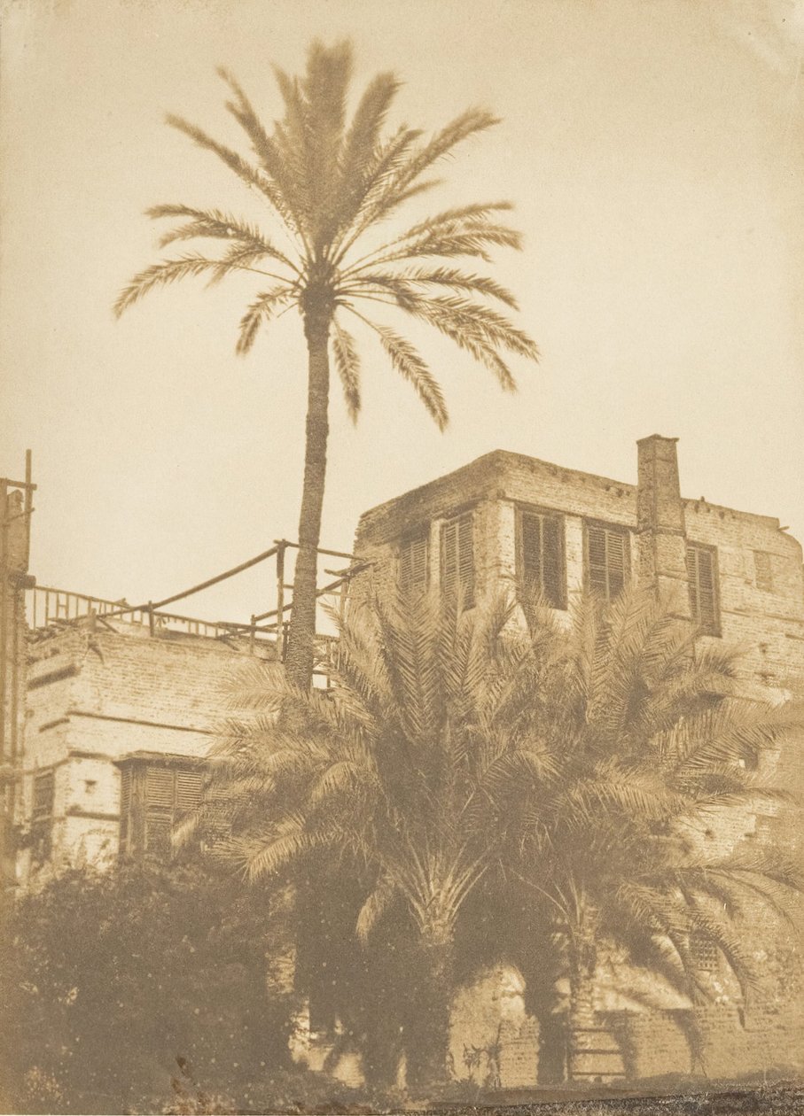 Hurma ağaçları ve Maison du Quartier Franc, Kahire, Aralık 1849-Ocak 1850. by Maxime Du Camp