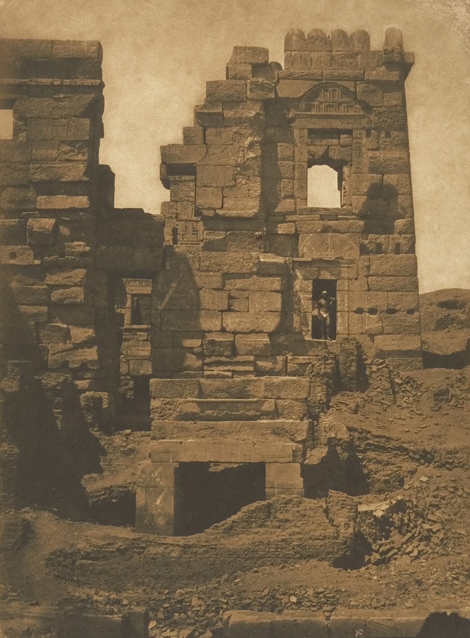 Rhamses-Meiamoun Gynaecium