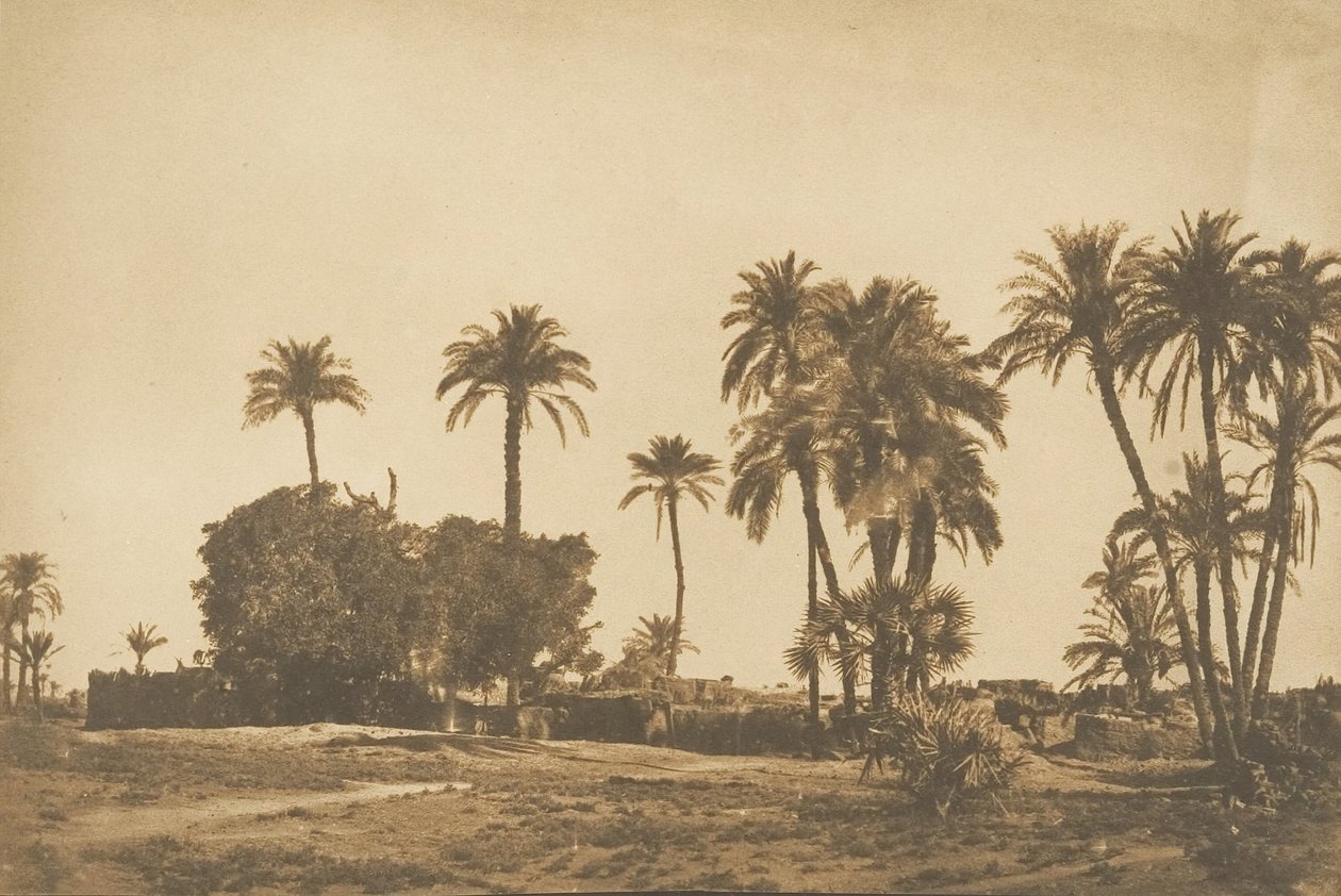 Dendera Right Bank yakınlarındaki Hamarneh Köyü
