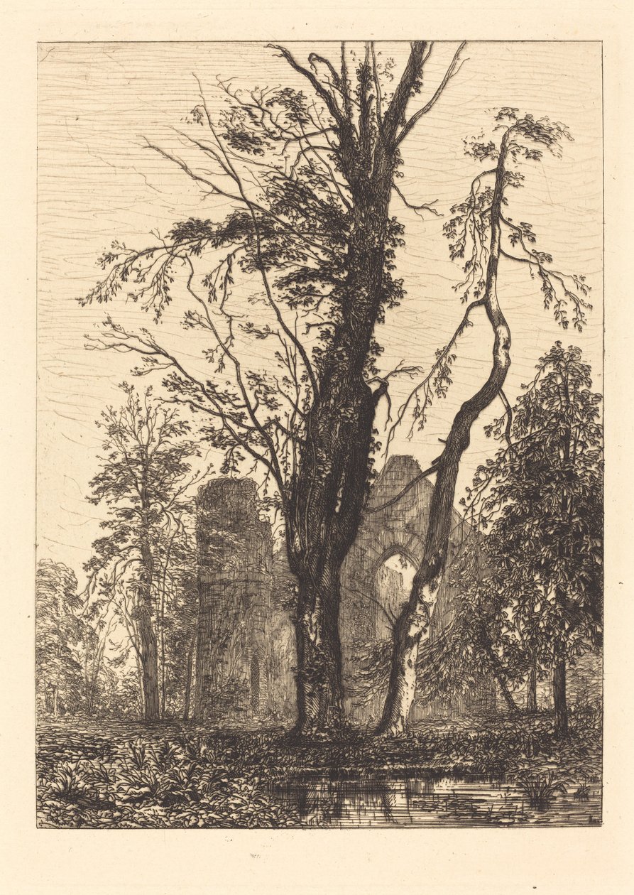 Parkta by Maxime Lalanne