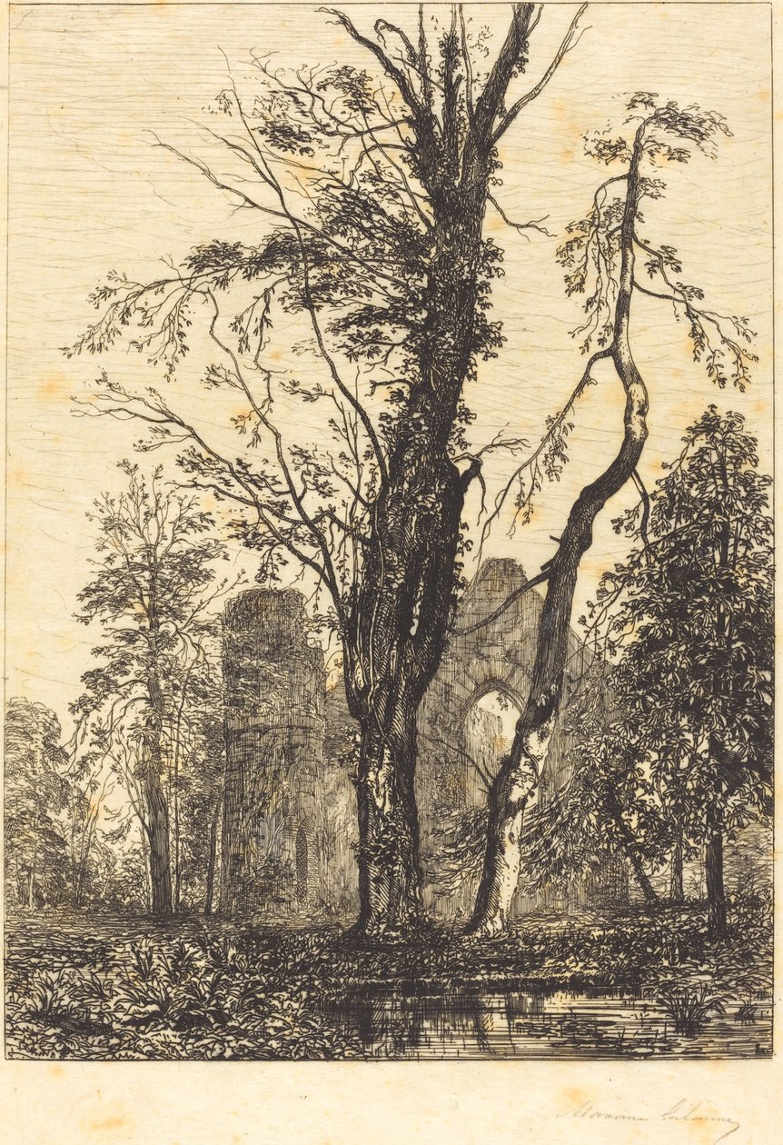 Parkta by Maxime Lalanne
